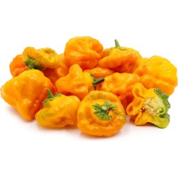 Jamaican Hot Yellow Chili Seeds - 240.443629