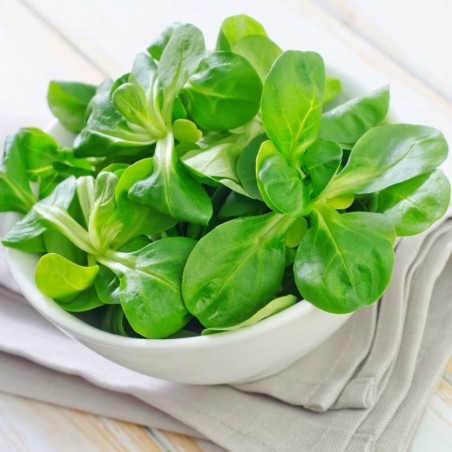 Price: €1.85 - Graines De Salade Mâche - 