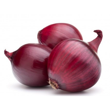 Price: €1.95 - Graines d'Oignon Rouge de Brunswick -