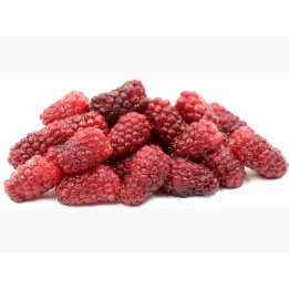 Tayberry fruit seeds (Rubus fruticosus) - 2.565