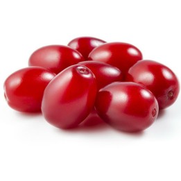 Cornelian Cherry, European Cornel Seeds (Cornus mas) - 1.844999
