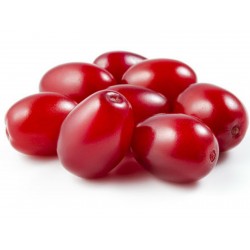 Price: €2.049999 - Semi di CORNIOLO (Cornus mas L.) - 