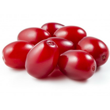 Price: €2.049999 - Σπόροι Κράνα (Cornus mas) - 