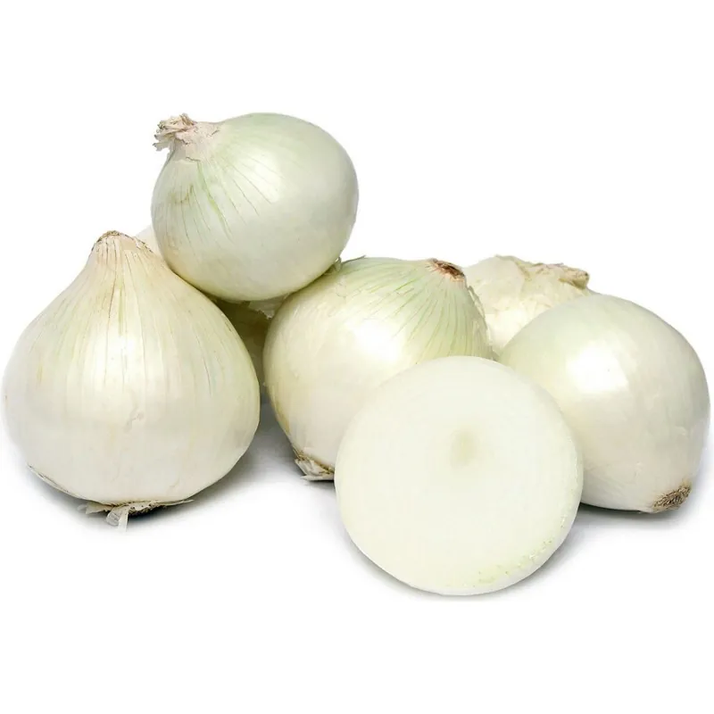 Graines de oignon BLANC DE LISBONNE