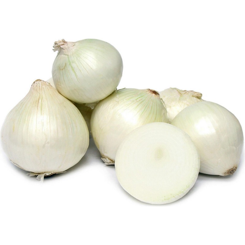 Price: €1.95 - White Lisbon Bunching Onion Seeds (Allium cepa) - 