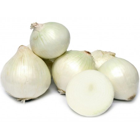 Price: €1.95 - White Lisbon Bunching Onion Seeds (Allium cepa) -