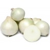 Price: €1.95 - White Lisbon Bunching Onion Seeds (Allium cepa) - 