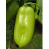 Price: €2.1 - White Elephants Ear Sweet Pepper Seeds - 