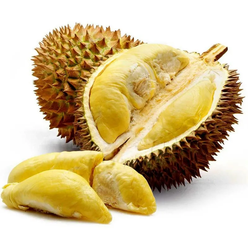 Durian seeds (Durio zibethinus)