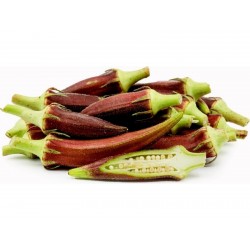 Price: €1.85 - Crvena Okra - Bamija Seme (Abelmoschus esculentus) - 