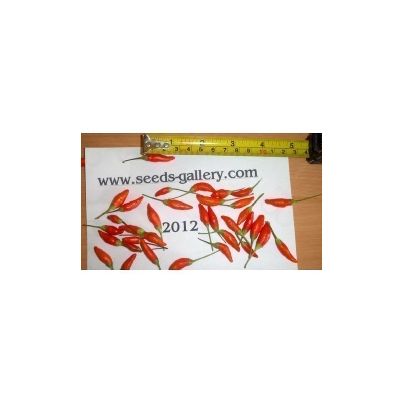 Semi di peperoncino Numex Twilight
