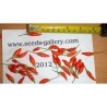 Semi di peperoncino Numex Twilight