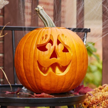 XXL Graines de citrouille Halloween, Jack’O Lantern