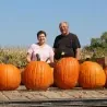 XXL Graines de citrouille Halloween, Jack’O Lantern