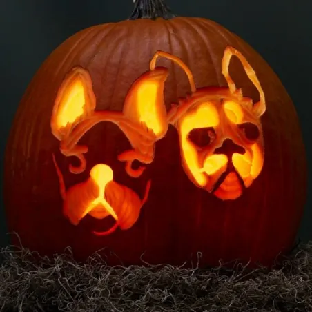 XXL Graines de citrouille Halloween, Jack’O Lantern