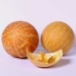 Price: €1.95 - Sementes Maçã amarga (Citrullus colocynthis) - Seeds Gallery