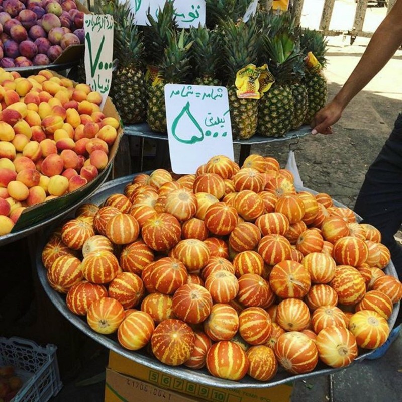 Semillas de melón de bolsillo de la reina Anne