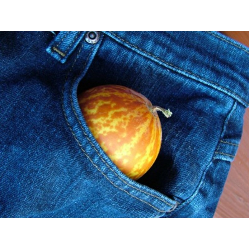 Queen Anne's Taschen Melonen Samen