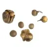 Tea Tree Seeds, tea plant, tea shrub (Camellia sinensis)