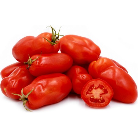 Tomat San Marzano 2 frön