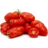 Semi di pomodori San Marzano 2
