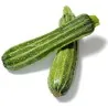 Nasiona cukinii Romanesco