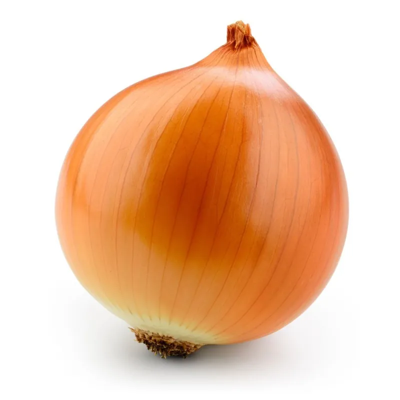 Semi di cipolla Kupusinski Jabucar (cipolla di mela)