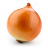 Price: €1.7 - Zwiebelsamen Kupusinski Jabucar (Apfelzwiebel) - Seeds Gallery