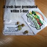 Price: €4.15 - Yuzu Zitrone Samen Winterhart bis -20°C (Citrus junos) - 