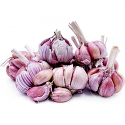 Price: €2.35 - Spicchi d'aglio spagnoli Roja - Seeds Gallery