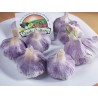 Price: €2.35 - Spanish Roja Garlic - Seeds Gallery