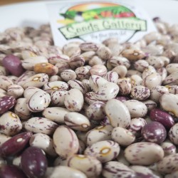 Price: €1.35 - Semi di fagioli colorati serbi - 