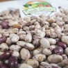 Price: €1.35 - Semente de feijão colorido sérvio - 