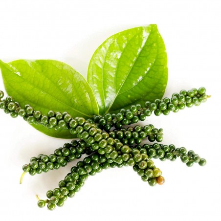 Price: €1.95 - Σπόροι Πέπερι το μέλαν (Piper nigrum) - 