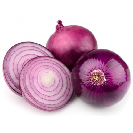 Price: €1.75 - Semillas de cebolla morada Tetenyi Rubin -