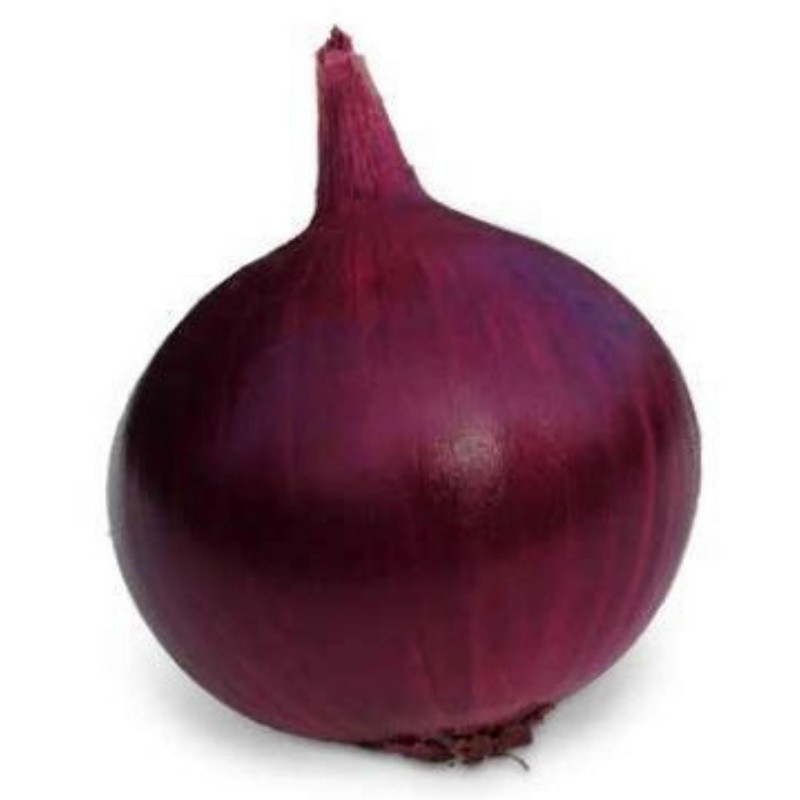 Price: €1.75 - Semillas de cebolla morada Tetenyi Rubin - 