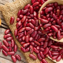 Price: €1.95 - Sementes de feijão baixo Carmen - 