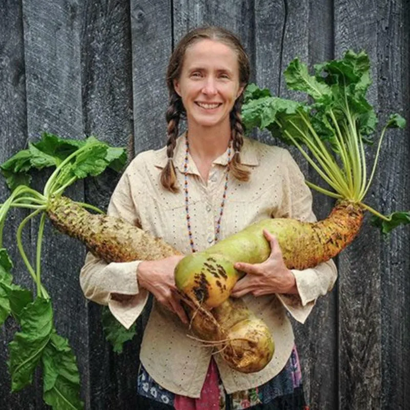 Giant Yellow Eckendorf Beet Seeds