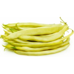 Nasiona fasoli Capitano Bush Bean - 1.75
