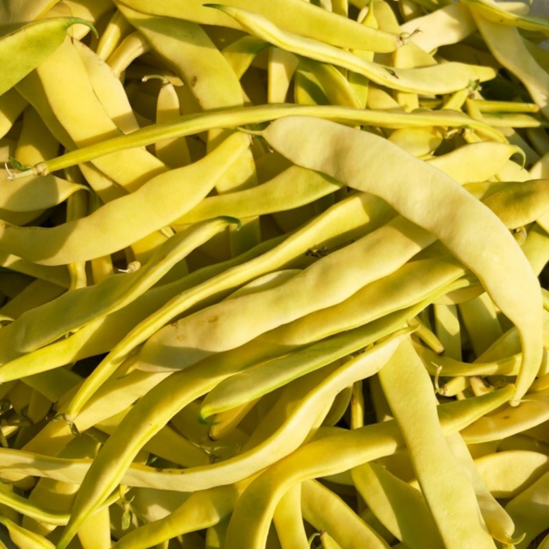 Beans seeds Buddha Market | 1,95 €