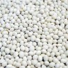 Zenit white pearl bean seeds | 1,25 €