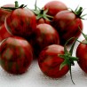 Price: €1.85 - Graines de tomate Artisan Purple Bumblebee - Seeds Gallery