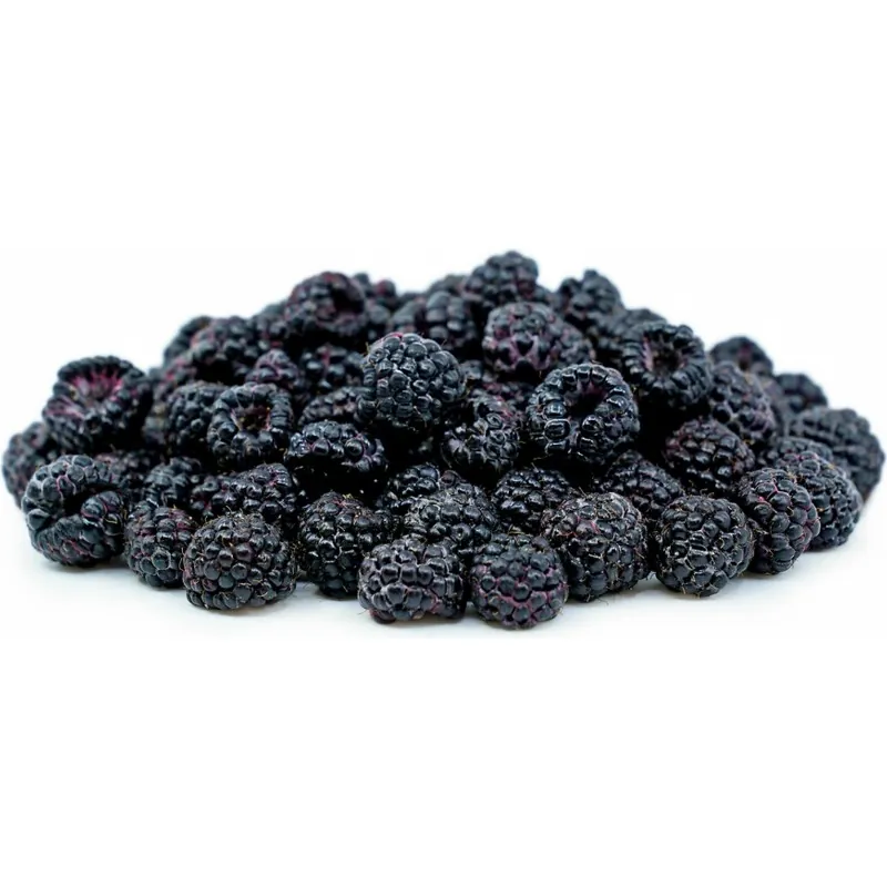 Semillas de Frambuesa Negra (Rubus occidentalis)
