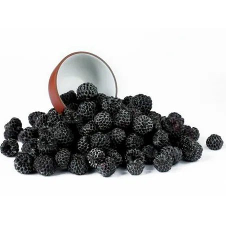 Semillas de Frambuesa Negra (Rubus occidentalis)