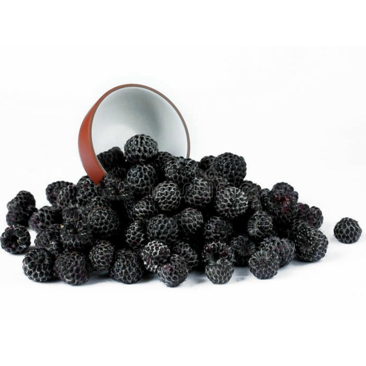 Black Raspberry Seeds (Rubus occidentalis) - 2.025