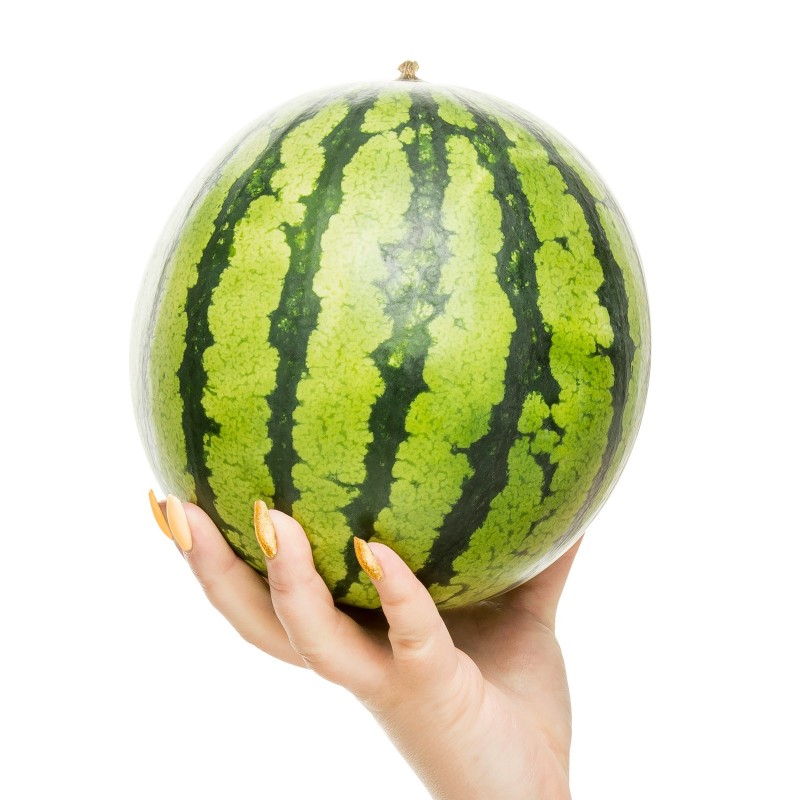 Price: €2.25 - Mini Wassermelone Sugar Baby Samen - Seeds Gallery