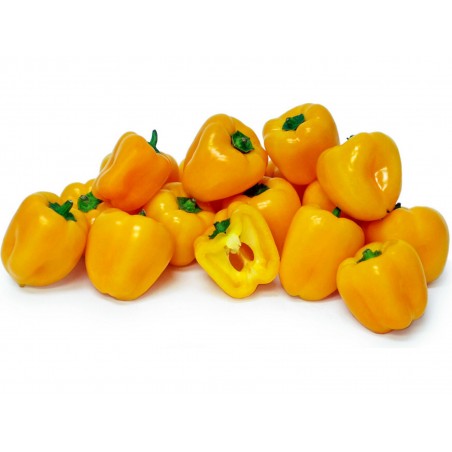 Price: €1.95 - Semillas de pimiento amarillo MINI BELL -