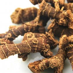 Price: €1.25 - Zacin Galanga (alpinia galanga) - 