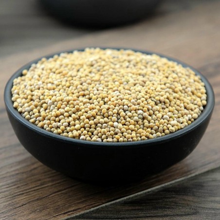 Beli Senf - Slačica seme (Sinapis alba)