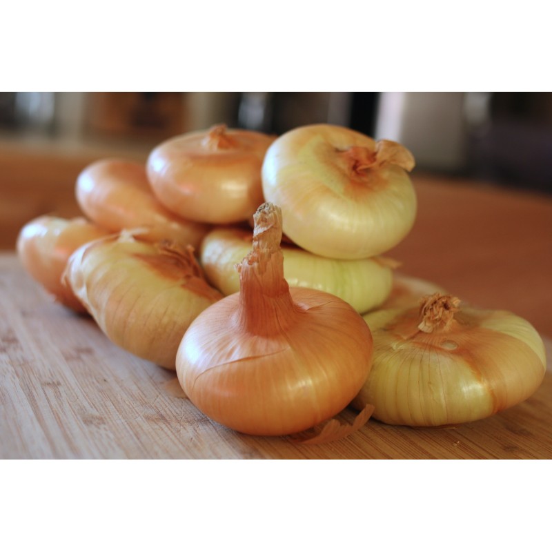 Price: €1.75 - بذور البصل Borettana - 